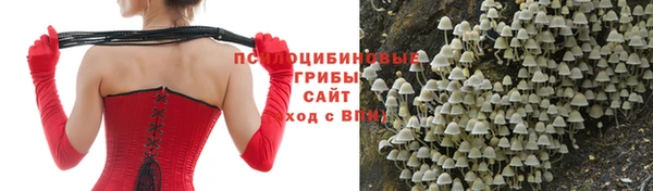 таблы Краснослободск