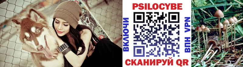 Псилоцибиновые грибы Cubensis  Кондрово 
